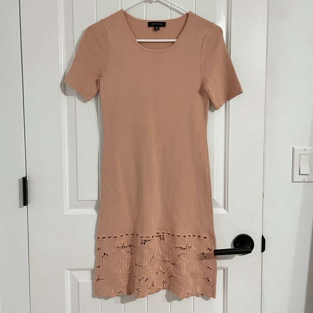 Ann Taylor Dusty Pink Knitted Short Sleeves Embroidered Hem Dress
